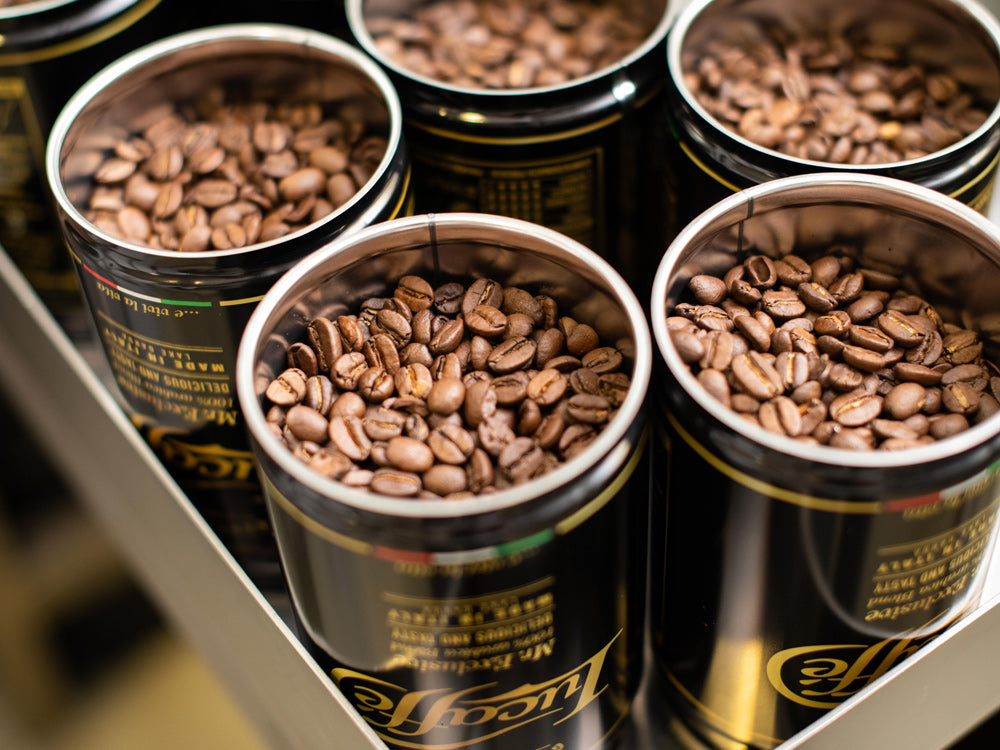 Im Einklang mit Mensch und Umwelt